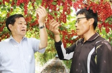“오미자, 지역 명품 농산물로 키울 것”