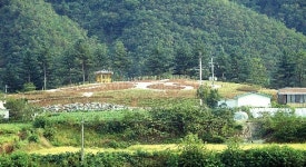 ‘무궁화 고장’ 홍천군, 모곡리에 무궁화동산 조성