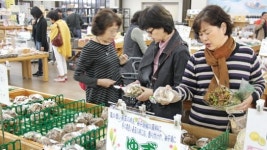 일본의 농산물 유통현장(상)산지 직매장 활성화