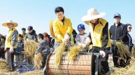 “고품질 쌀 생산 힘쓴 농업인께 감사”