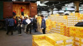 가락시장, 제주감귤 팰릿출하 추진 ‘주목’