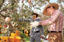 국세청, 자매결연 충주 주덕 조동마을서 구슬땀