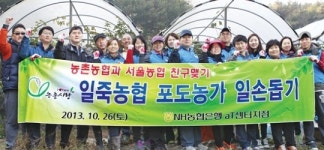 농협은행 aT센터지점, 일죽농협서 일손도와