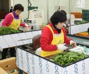 농협밀양시연합사업단, 연합사업 ‘본보기’