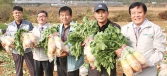 안중농협, 무 공동출하·계산사업 ‘호응’