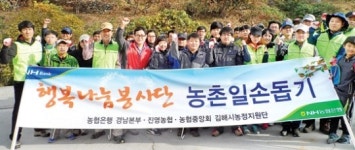농협은행 경남본부 등, 단감수확 일손 도와