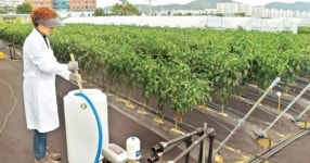 경북농기원, 자원 재활용·비용절감 농법 선봬