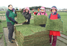 남해 ‘스포츠 잔디’ 전국에 쫙 깔린다