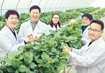 좋은 씨앗은 농사방법부터 소비자 입맛까지 바꾼다