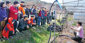 ‘전원속 낭만’ 생각 말고 준비 철저히