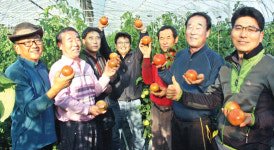 강소농 희망 일구는 사천 곤양 ‘무고시설원예영농조합법인’