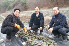 [이사람]천년초 대량 재배하는 임채문씨