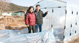 간편터널·조립식 하우스 개발 오재철·김영희씨 부부<울산 울주>