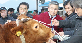 포항축협 “축산농 수취값 제고 총력”