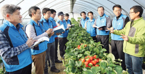 “영농 애로사항 전문가에 물어보세요”