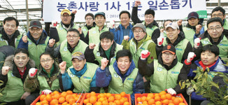 농협유통, 자매결연 서귀포농협서 감귤수확 도와
