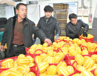 “당도 높은 성주참외 나왔어요”