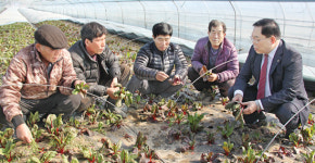 [희망취재]서울 수서지역 시설채소농가 KTX 역사공사로 지하수 고갈 호소
