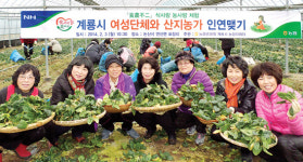 농협 계룡시지부 ‘입춘 맞이 봄나물 뜯기행사’ 열어