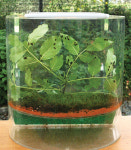 충북농기원, 자체개발 반딧불이 사육장치·사육기술 농가 보급