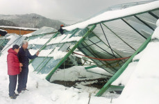 [현장]‘눈폭탄’…포항 죽장면 친환경농업단지 가보니