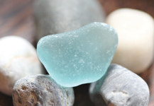 온갖 시련으로 거듭난 아름다움