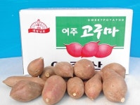 여주고구마 재고로 어려움, 하동 농축협 구매 ‘한마음’