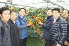 하귀농협 ‘월동하우스감귤공선회’ 성공 비결은?