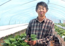 [이사람]고구마 조직배양묘 대중화 앞장 이대열씨<충남 논산>