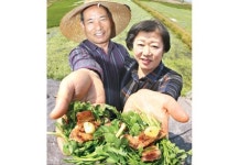 “미나리 고기쌈 한번 맛보세요”