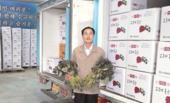 삼기농협, 고구마 우량종순 지난해 매출 21억원