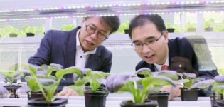 [화제]고밀도 압축 스티로폼 돔 하우스 설치 ㈜에버그린팜