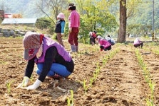 홍천농협·농가주부모임 합심