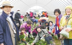 서울 소비자 식사랑농사랑체험