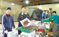 화도농협 ‘예비모 공급 사업’ 농가 호응크다