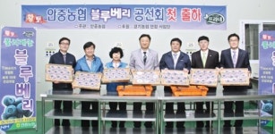 “달콤한 친환경 블루베리 맛보세요”
