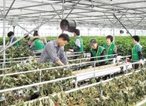 화순 농·축협 임직원, 영농철 일손돕기 ‘본보기’