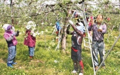 거창 상시고용사회적협동조합 - 농협 농촌인력중개센터 연대사업 성과