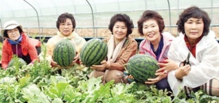 “안전한 우리 농산물 많이 애용할래요”