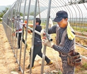 [현장]농협·한국농업시설협회, 강원 강릉서 내재해형 하우스 시공 지원사업 첫발