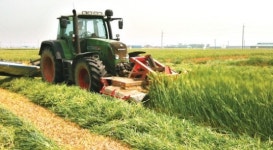 창간 50주년 특별기획 50부작(20)국산 조사료가 넘친다