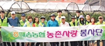 농협, 곳곳서 일손돕기 구슬땀