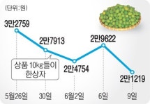 [한눈에 보는 시세]매실