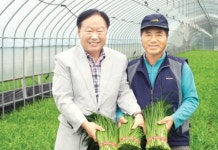 농가·농협 협력해 ‘양동부추’ 명품화