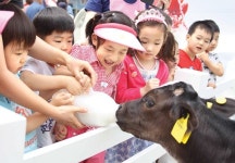 “송아지야, 우유 마시고 무럭무럭 자라거라”