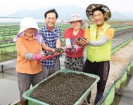 우렁이 직접 키워 공급…군서농협, 조합원 호평