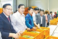 양주 백석농협 ‘애호박공선회’ 닻 올렸다