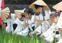 비오는 날엔 도롱이 입고…