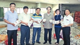 새의성농협 ‘의성마늘’ 명품화 총력