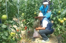 경기영업부, 고객 대상 농촌체험